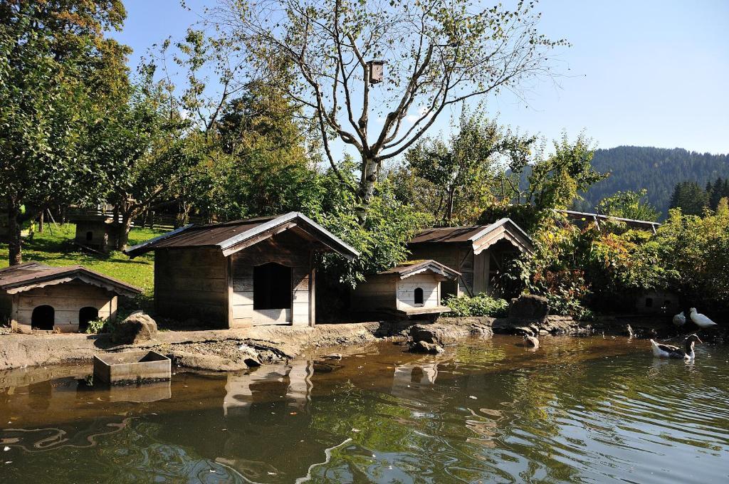 Bodenhof Ferienwohnungen Fieberbrunn Dış mekan fotoğraf